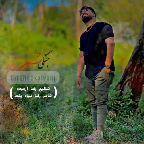جنگی شهر